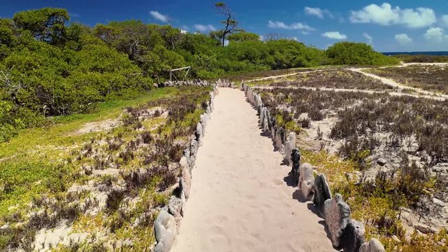Immersive POV journey along a rustic tropical trail in Los Roques National Park, Venezuela, leading through nature towards the crystal clear waters.
