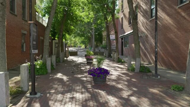 A slow walk by a little brick patio with potted flowers and trees and the afternoon sunlight filtering through. It is flanked by two red brick buildings.