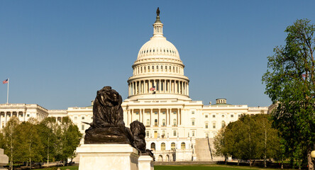 Naklejka premium Dome rises above Capitol building. Famous dome shows US government. Dome architecture defines Washington landmark. American flag flies near dome.