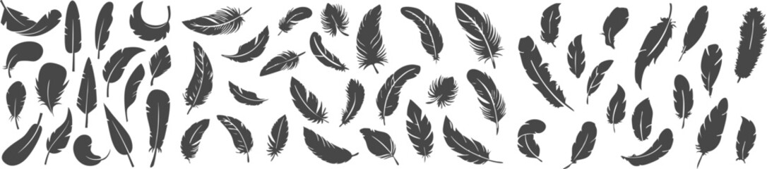 Hand drawn black feather pattern vector bold bird plume seamless decorative abstract background set © Sikwy