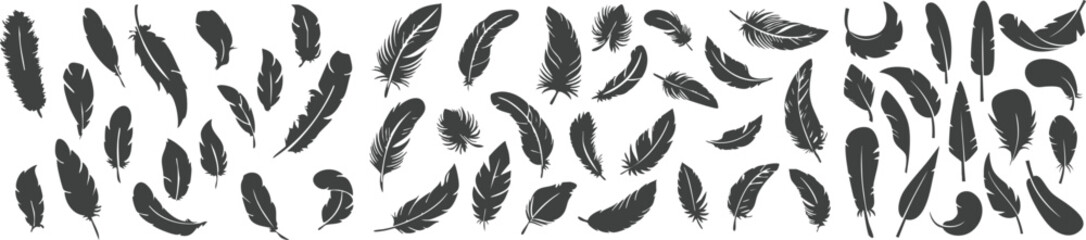 Hand drawn gray feather pattern vector neutral bird plume seamless background minimal abstract set © Sikwy