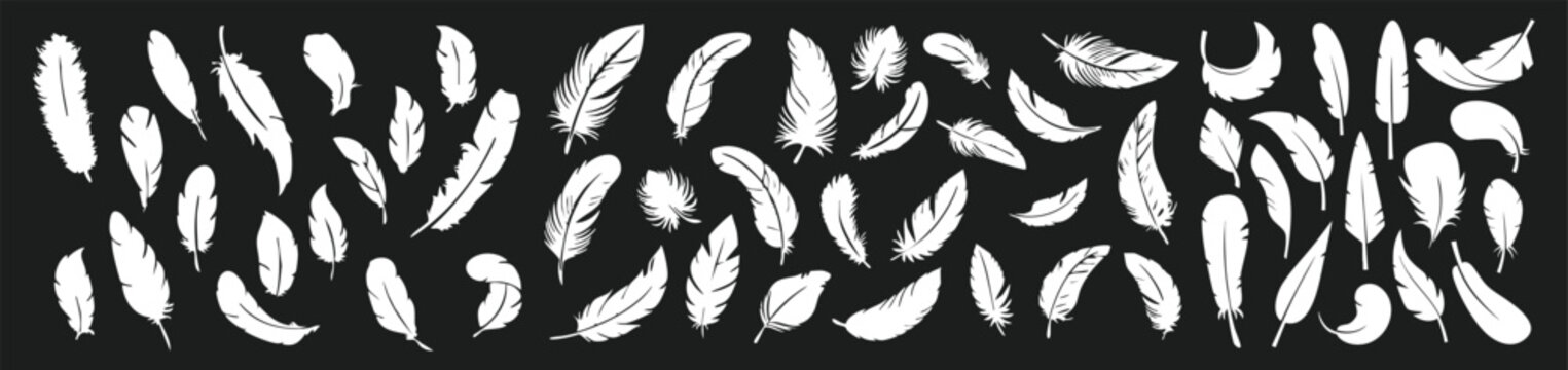 Hand drawn violet feather pattern vector rich bird plume seamless background abstract design set