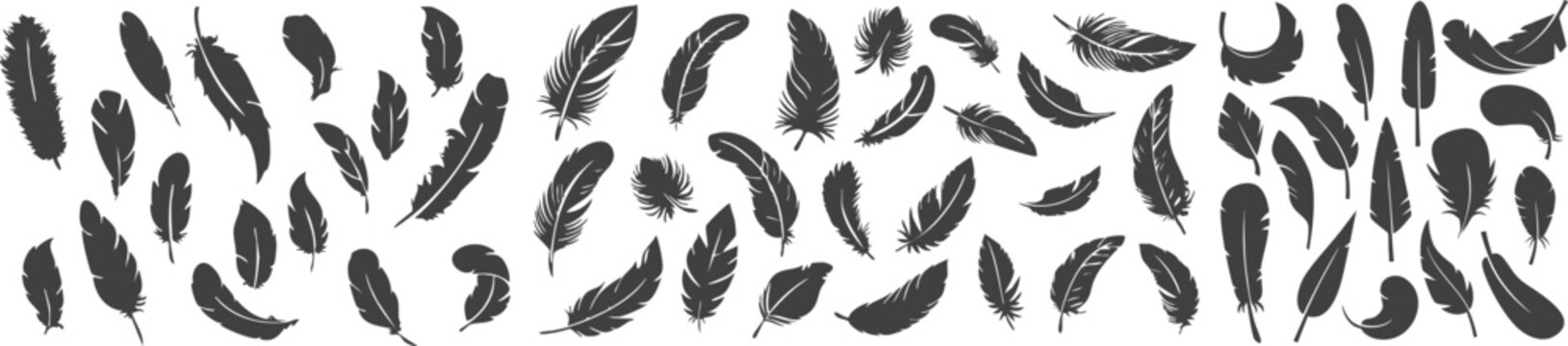 Hand drawn gray feather pattern vector neutral bird plume seamless background minimal abstract set