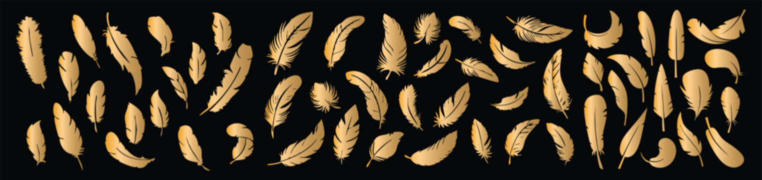 Hand drawn golden feather pattern vector luxury bird plume seamless decorative abstract background set