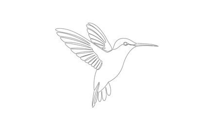 Obraz premium Elegant Hummingbird in Flight Line Art Illustration.
