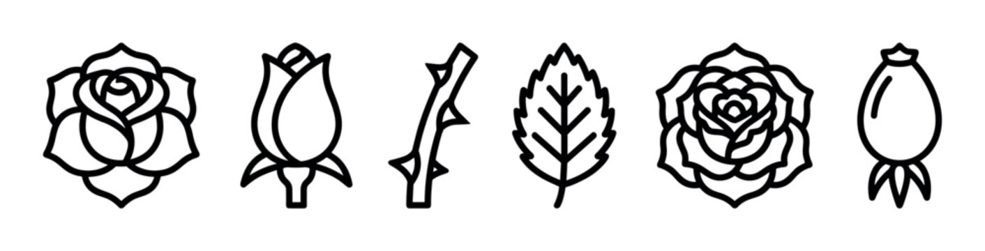 Set of black linear rose icons showing a flower, bud, thorny stem, leaf, and rose hip in a minimalist graphic style for botanical or floral design concepts
