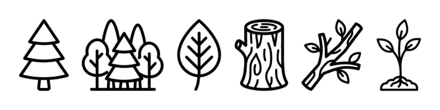 Set of six black line icons representing nature and forestry, featuring a fir tree, woods, a leaf, a log stump, a branch, and a small growing plant sprout