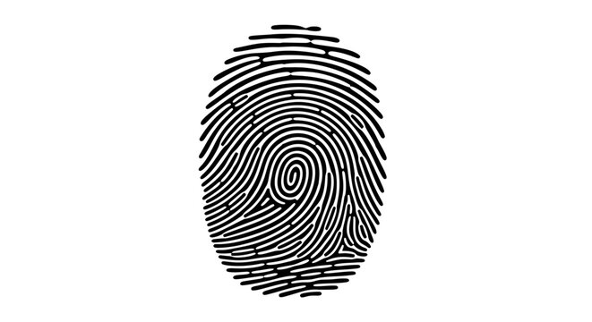 Fingerprint Pattern Close Up.