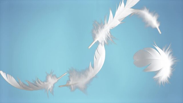 A dreamy 3D background loop featuring soft, lightweight white bird feathers elegantly floating and drifting across a serene sky blue studio backdrop with light smoke textures. Excellent for bedding co
