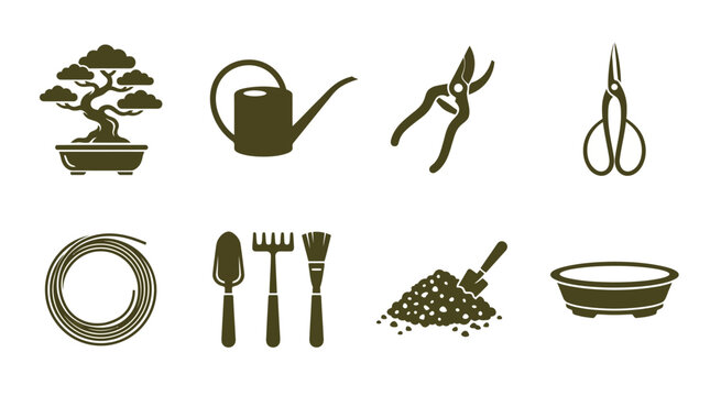 Gardening tools and plant care items.