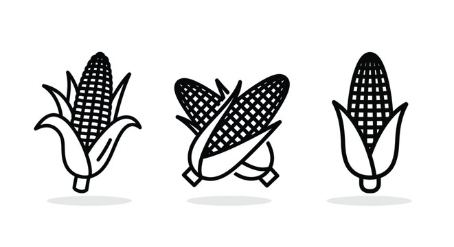 Corn cobs set black and white line art illustration