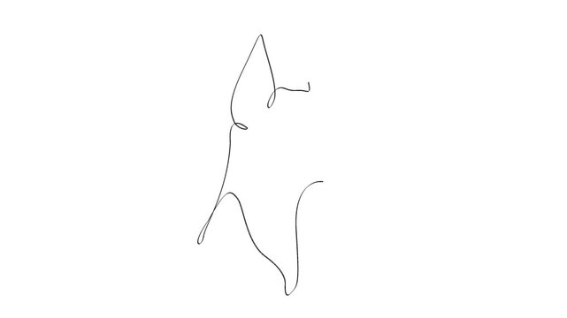 Minimal continuous line drawing of a Doberman dog portrait animation
