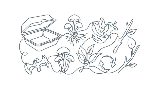 Mushrooms line art illustration in botanical style.