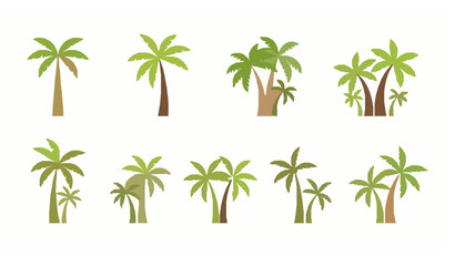 Obraz premium Summer palm tree vector set with tropical beach trees in modern flat illustration style isolated on white background