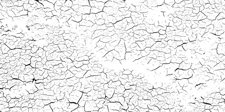 Cracked earth texture background with dry mud and fissures in black and white grunge for graphic design and creative projects