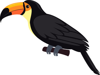 Fototapeta premium Toucan Bird Illustration