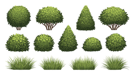 Naklejka premium Set of lush green garden shrubs and fresh grass clumps ideal for outdoor scene creation