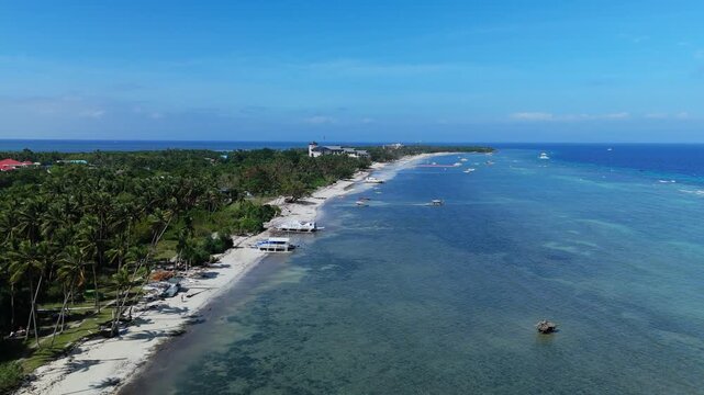 A drone ascends to reveal Doljo Beach, reef flats, and palm-lined shore in Panglao, Bohol
