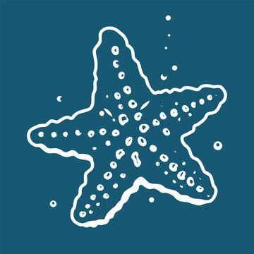 Hand drawn star fish vector line art illustration on blue background.