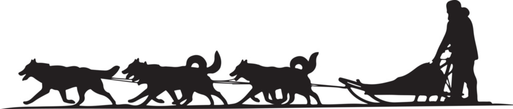 Dog Sled, Sled Dogs, Winter Sports, Black Silhouette, Vector Illustration