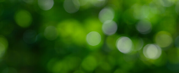 Fototapeta premium Nature view of abstract circular green bokeh background, nature light in blurred style, , Banner cover design.
