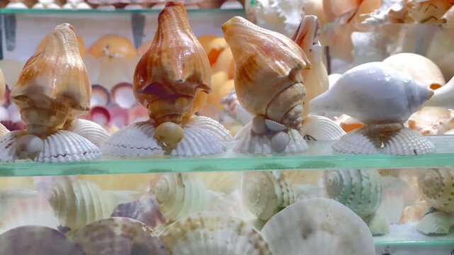 Collection of sea shells, snail shells, and colorful pebbles beautifully arranged inside a glass jar on a rustic table decoration.