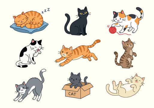 Cute Cat Characters Collection in Various Poses