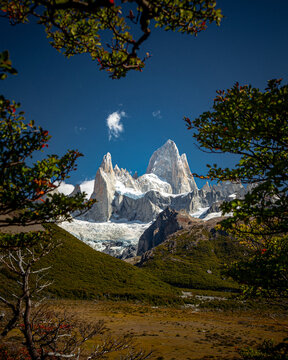 Fitz Roy peak framed by forest trees, Patagonia Argentina