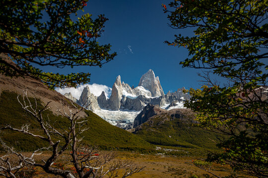 Fitz Roy peak framed by forest trees, Patagonia Argentina