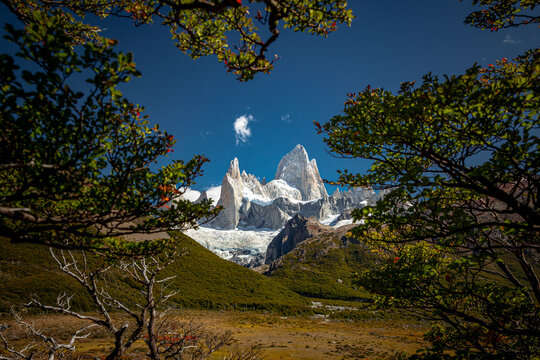 Fitz Roy peak framed by forest trees, Patagonia Argentina