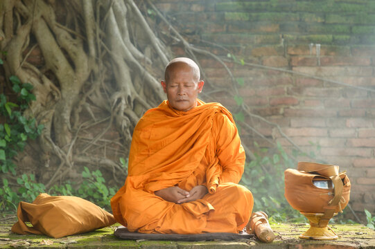 Asian monk meditating under a tree