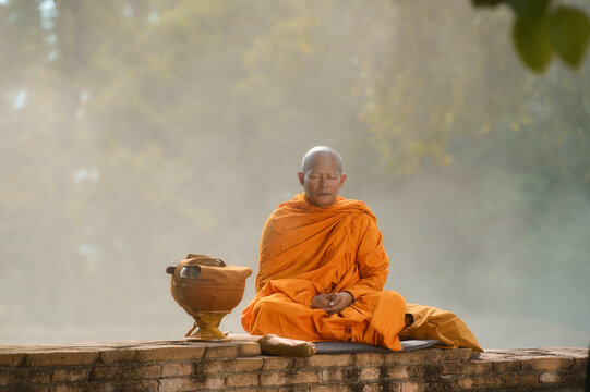 Asian monk meditating under a tree