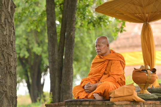 Asian monk meditating under a tree
