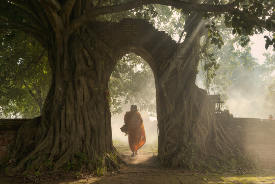 Asian monk meditating under a tree