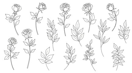 Hand drawn rose flowers and leaves line art collection © Saharia