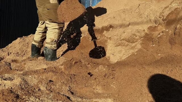 Unrecognizable man fills a drainage trench with sand on his countryside property, working outdoors with a shovel to complete a land drainage system