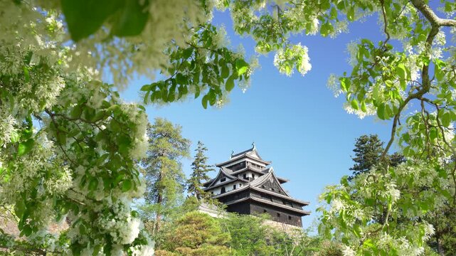 島根県松江市の5月の春の松江城山公園と青空_10bit_4:2:2