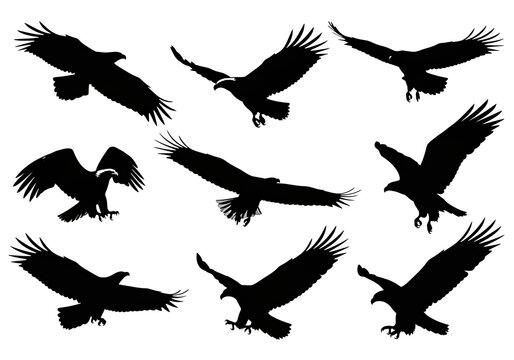 Set of black eagle silhouettes flying on white background