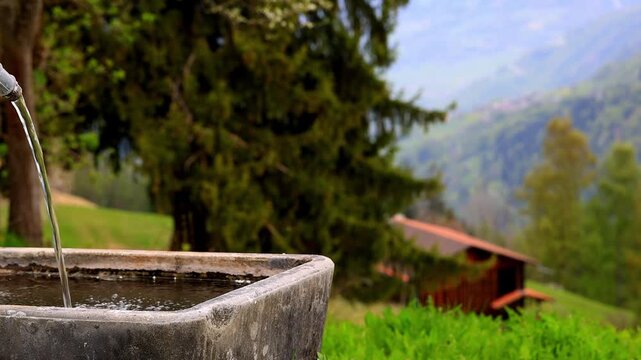 alpine drinking trough on a alpine meadow 4k video
