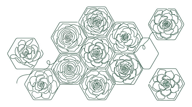 Geometric rose mosaic patterns framed in hexagons.