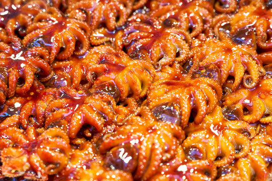 Spicy grilled baby octopus skewers (Jukkumi) on display at a traditional Korean street food market stall