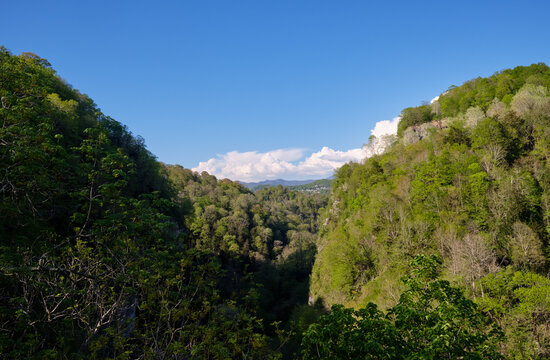 View of the canyon of Khosta river in Khosta Yew-Boxwood Grove. Sochi. Khosta District, Russia