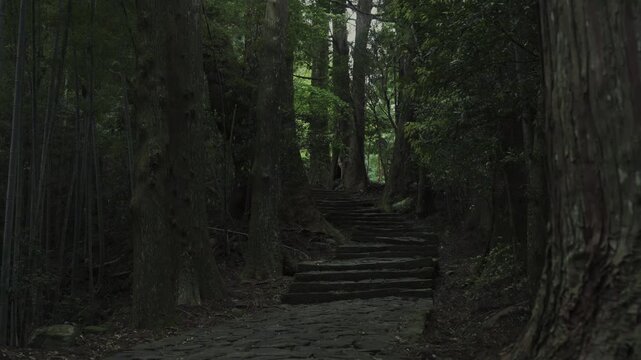 世界遺産 熊野古道 中辺路 大門坂 苔むした石畳｜和歌山県那智勝浦町 Daimonzaka Moss‑Covered Stone Steps, Kumano Kodo Nakahechi, Nachikatsuura, Wakayama, Japan
