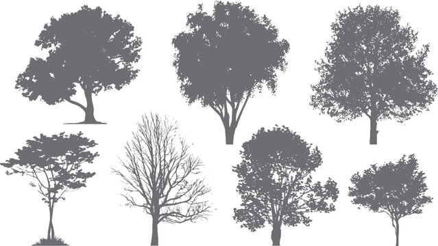 Minimal architectural tree drawing with roots cad line art and grunge vector set for landscape design