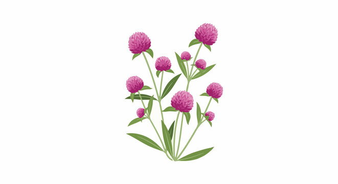Delicate pink globe amaranth flowers with green stems and leaves