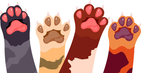 Cat Paw's Illustration © Derek