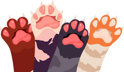 Cat Paw's Illustration © Derek