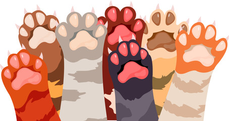 Cat Paw's Illustration © Ziki