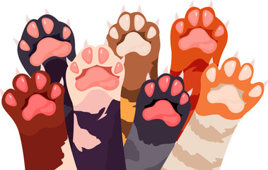 Cat Paw's Illustration © Ziki