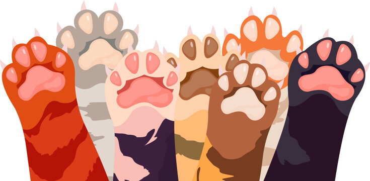 Cat Paw's Illustration
